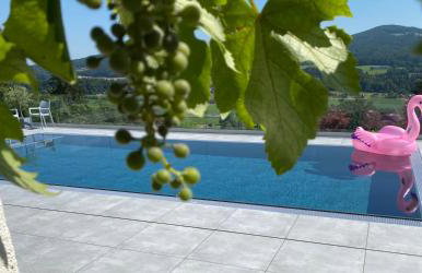 Haus Vogl Anger - Ferienwohnungen mit privater Sauna und beheizten Salzwasser Pool in Panoramalage und Nähe zu Salzburg und Berchtesgaden - Foto 50