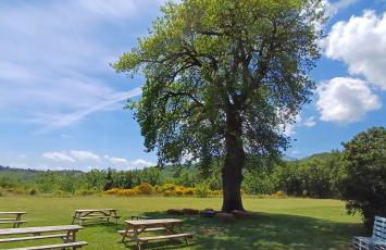 Antica Dimora - Foto 53