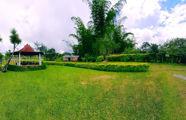 Suite Gold Alto De Sion - Photo 7