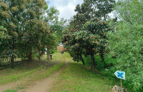 Quinta do Arade - casa 4 pétalas - Foto 54