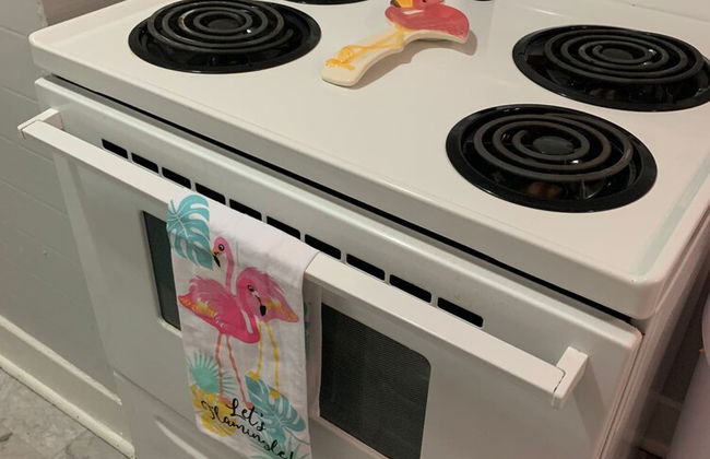 Funky Flamingo - Foto 12