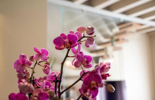 Casa Cordigero - Lago di Garda - Adults only - Foto 59