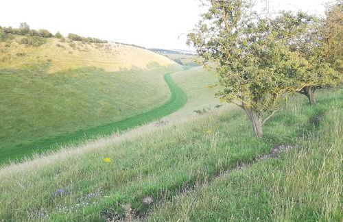 Seaways glamping, Copper Beech - Foto 7