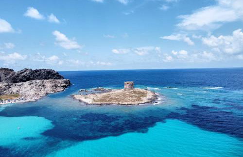 BuenaVista - Photo 20