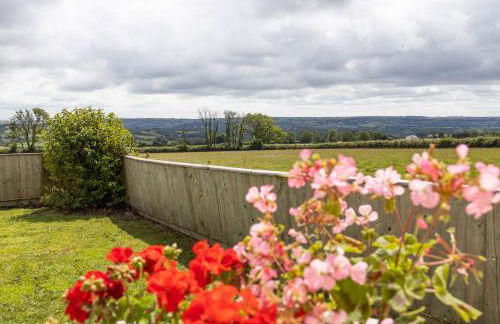 Bryniago Whitland - Foto 23