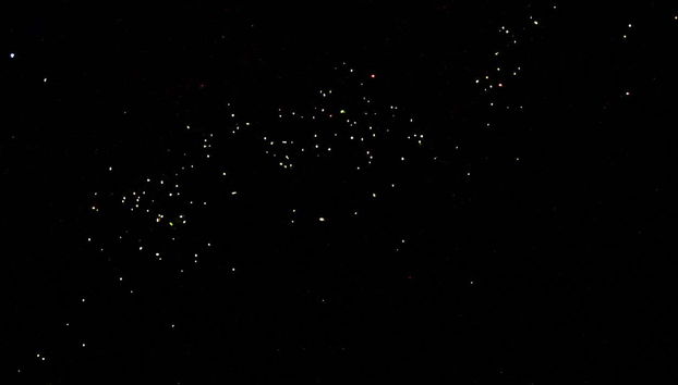 Vaga-lumes brilhando