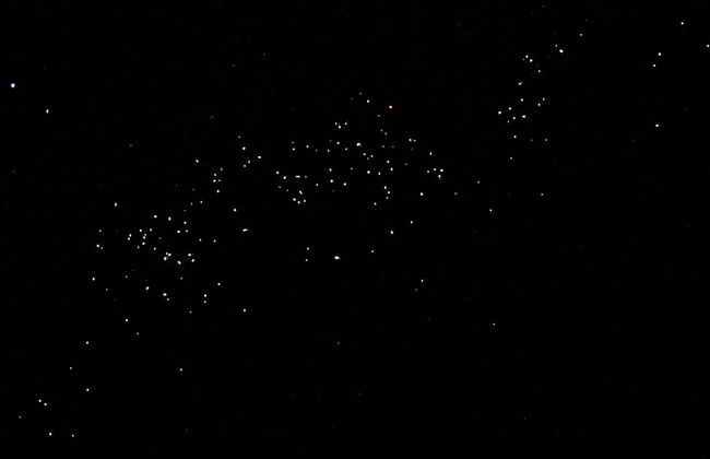 Passeio de barco com avistamento de vaga-lumes - Foto 5