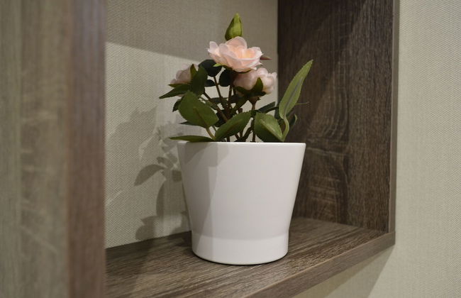 Apartment Park & House 42 - Photo 33