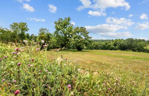 Wine Country Farmhouse - Foto 65