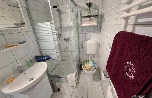 Casa-Flores, um"Schwarzes Gold" zu erkunden - Foto 5