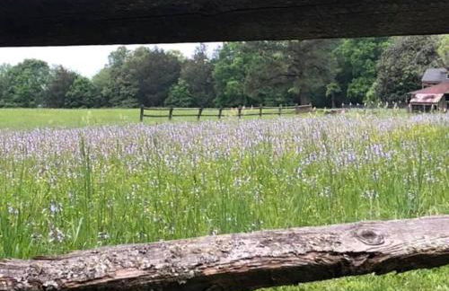 Cozy and Peaceful Tiny House on a 100-acre Farm - Foto 17