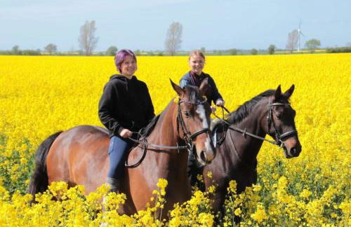 RosenGärtchen - Foto 23