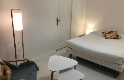 T2 lumineux vue sur Cher, 8mn Gare & centre - Photo 13