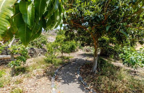 Casita Feliz - Casa Rural Tasarte by Villas Rivero - Foto 37