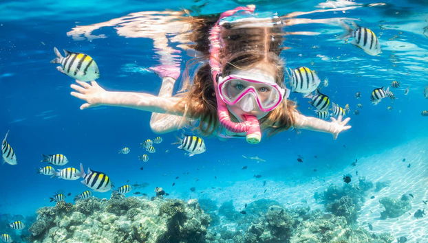 Nagez parmi les récifs coralliens et les poissons colorés
