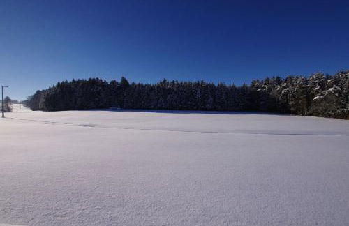 Holzhaus Lugerhof - Foto 47