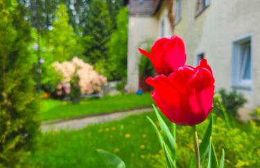 Klein Waldseele - Foto 22