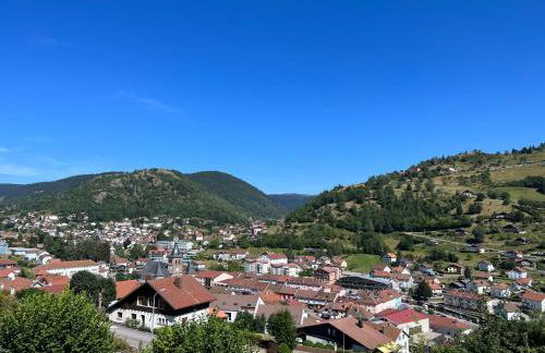 Magnifique appartement classé 4 étoiles avec Sauna et terrasse dans chalet - Foto 5