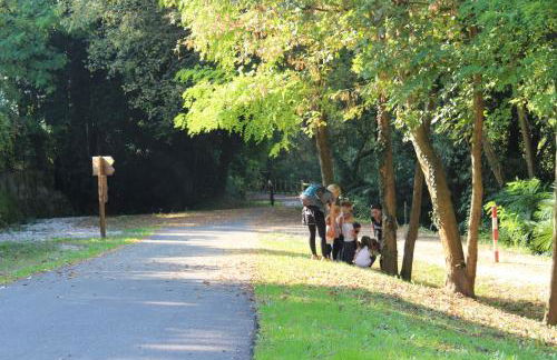 Corte Attilea - Foto 7