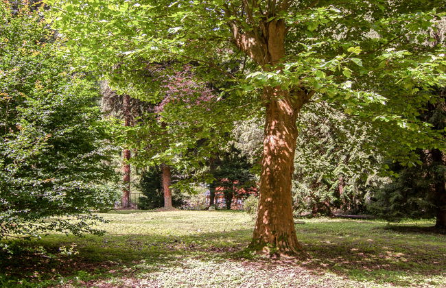 Haus Wildstein - Foto 29