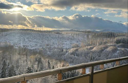 Modernes Harz Studio Apartment Ferienwohnung über den Baumspitzen - Foto 19