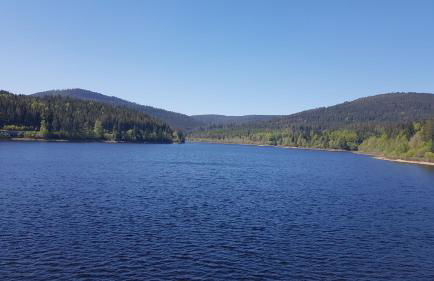 Ferienwohnung Tannenballett im Schwarzwald - Foto 59