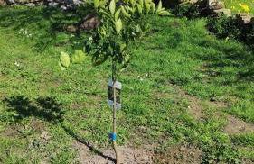 Nordés Casa rural en Lastres entre mar y montaña - Foto 9