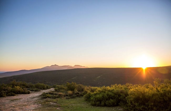 Melozhori Game Reserve - Foto 2
