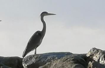 Plage,15 m, mer, Casa Melissa by SesimbraSunSea - Foto 46