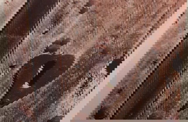 Sheena's Dartmouth Chalets - Foto 33