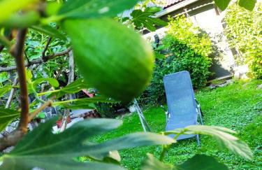 Grandma's apartment - Photo 48