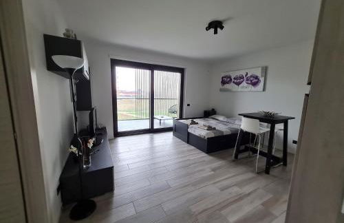 Grazioso Monolocale Milano - Foto 4