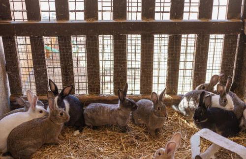 Mas El Brugué - Foto 49