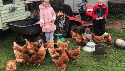 Rew Farm Country & Equestrian Accommodation - Sunrise Lodge - Foto 2