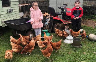 Rew Farm Country & Equestrian Accommodation - Sunrise Lodge - Foto 2