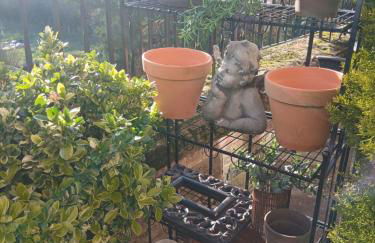 Claro Mews Gem - Foto 11