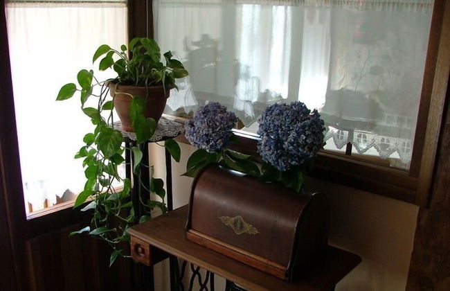 La Casona de Lucía - Foto 7