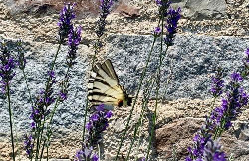 Borgo Al Tempo Perduto - Foto 19