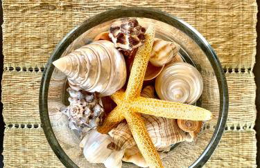 Aggelos and Thisbe Chania Suburbs Sea View Guest House - Foto 12