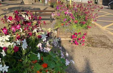 Angel Cottage - Foto 24