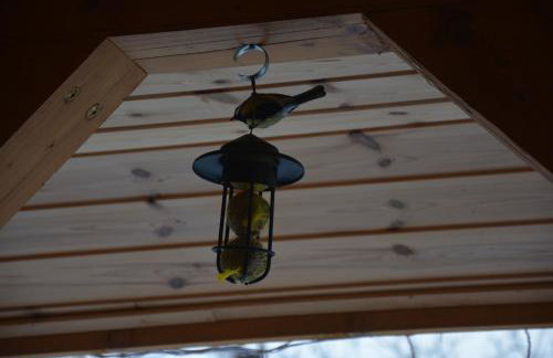 Pod Zielonym Dachem - Foto 19