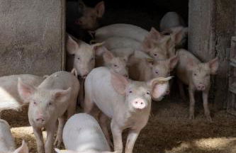 Agriturismo La Collina - Foto 24