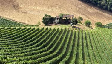 Villa Eleonora Italia - Foto 5