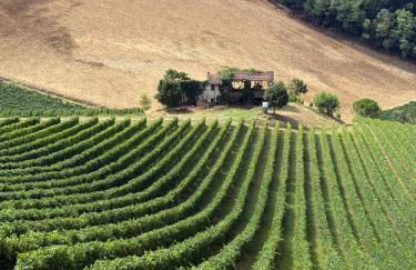 Villa Eleonora Italia - Foto 5