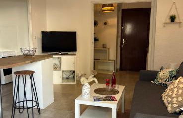 Coquet studio 10 min de Cannes - Foto 16