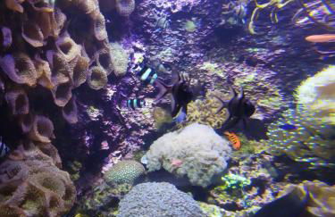 La Maison du Quai Triplex de charme 4 étoiles en hyper centre avec SPA - Foto 36