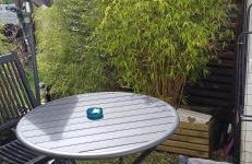 COUP DE COEUR Studio - Foto 24