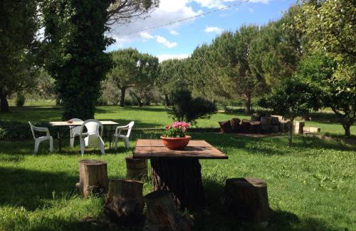 Adamasseria - Foto 78