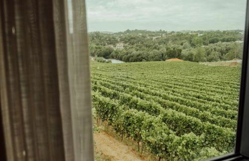 Quinta das Areias - Solar da Pena - Foto 11