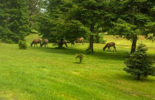 Serene South Bend Family Escape Dogs Welcome - Photo 24